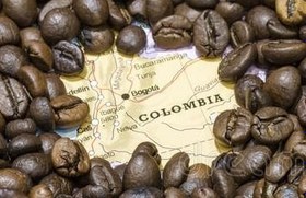 تصویر دان قهوه کلمبیا 