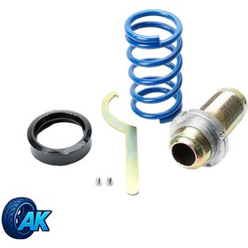 تصویر فنر ریگلاژی 405 ریما 