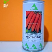 تصویر بذر هویج رایموند هلند زادن 