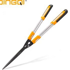 تصویر شمشاد زن 