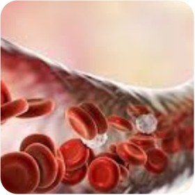 تصویر Mesenchymal Stem Cell from Human Umbilical tissue 25ml flask 