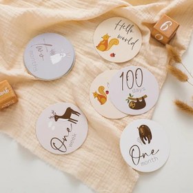 تصویر پک ماهگرد رنگی حیوانات 