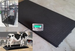 تصویر باسکول دامکش ۲ تن ابعاد ۲ در ۱ متر توزین صنعت 