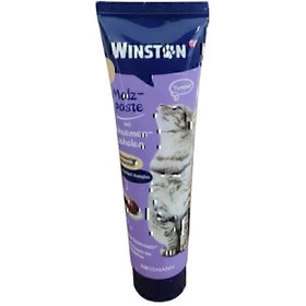 تصویر خمیر مالت وینستون Winston - Malt Paste