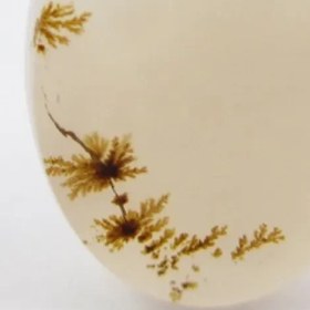 تصویر سنگ شجر کد 2318 