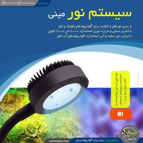 تصویر ال ای دی آب شور مینی M1 زتلایت ZETLIGHT M1