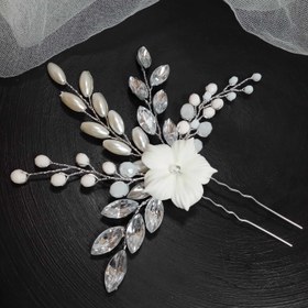 تصویر سنجاق شنیون 