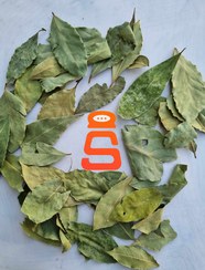 تصویر برگ بو شکسته ؛ طعم و عطر بی‌نظیر در آشپزی - ۴۰ گرمی 