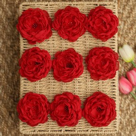 تصویر گیره انبری گل حریر 