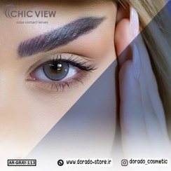 تصویر لنز چشم چیک ویو شماره 113 مدل AR-GRAY-113 (chic view) رنگ طوسی دور مشکی Chic view soft contact lens AR-GRAY-113