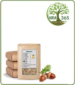 تصویر مغز بلوط خشک فله 