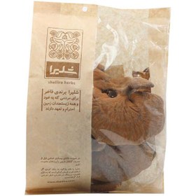 تصویر قارچ گانودرما درجه یک 