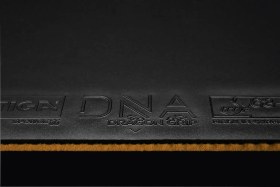 تصویر رویه DNA Dragon Grip 55 استیگا 