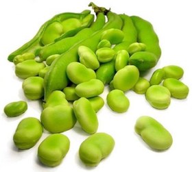 تصویر باقلا یزدی 