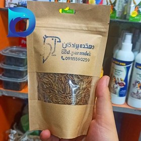 تصویر کرم میلورم پرندگان-mealworm-بسته 50 گرمی 