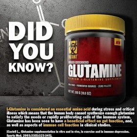 تصویر گلوتامین 300 گرم موتانت Mutant Glutamine 300 g