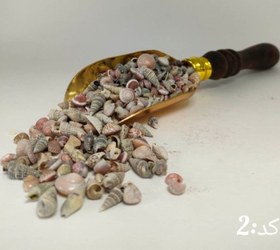 تصویر صدف ایرانی 