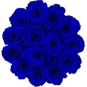 تصویر Blue Eternal Roses in a Beige Flocked Box | کد: ZNB-1JAS 
