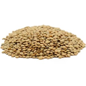 تصویر عدس ریز اعلا 900 گرمی 