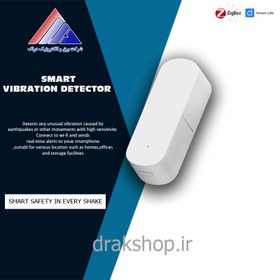 تصویر سنسور تشخیص لرزه هوشمند زیگبی MOES مدل : ZSS-Z-VBR MOES - Capteur de vibration Zigbee TUYA - ZSS-Z-VBR