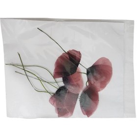 تصویر گل خشک شقایق 5 عددی 