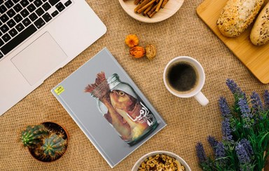 تصویر ارمیا رضا امیرخانی / نشر افق