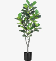 تصویر درختچه مصنوعی فیکوس لیراتا 180 سانتی 