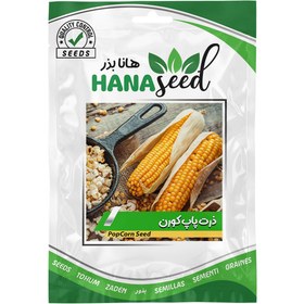 تصویر بذر ذرت پاپ کورن هانا بذر 