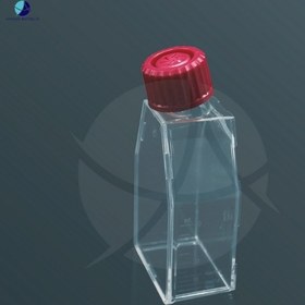 تصویر فلاسک کشت سلول چسبنده 25 سانتی‌متر مربع برند لب سلکت 25c Cell Culture Flask - Labselect