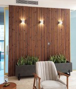 تصویر ترمووال مغز ام دی اف 