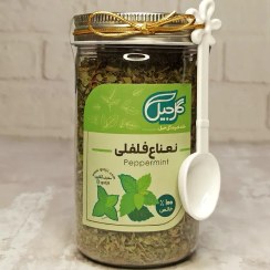 تصویر نعناع فلفلی گل‌جیل 