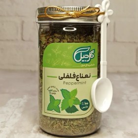 تصویر نعناع فلفلی گل‌جیل 