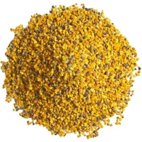 تصویر گرده گل 