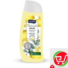 تصویر شامپو بدن هوبی مدل Fresh Care حاوی عصاره انار 500 میلی لیتر Hobby body shampoo Fresh Care model containing pomegranate