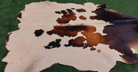 تصویر پوست طبیعی گاو تزنیِِینی 33.5 پا ا cow skin cow skin