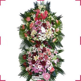 تصویر تاج گل سانا 