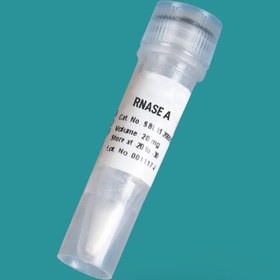 تصویر ریبونوکلئاز A یا (RNase A) Ribonuclease A