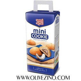 تصویر مینی کوکی نارگیلی نادری 