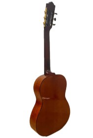 تصویر گیتار آدکین مدل F3 