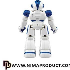 تصویر ربات کنترلی 