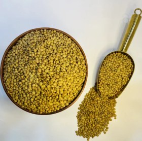 تصویر عدس ریز اردبیل 