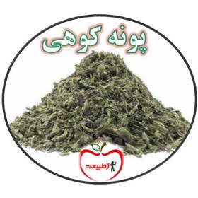 تصویر پونه کوهی اعلا – 250گرم 