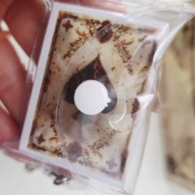 تصویر جاکلیدی پاسور 