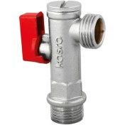 تصویر شیر پیسوار کسری 