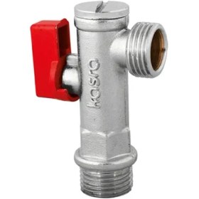 تصویر شیر پیسوار کسری 