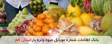 تصویر بانک اطلاعات شماره موبایل میوه و تره بار استان قم 