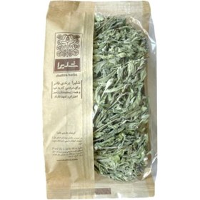 تصویر پونه کوهی دخترپیچ 