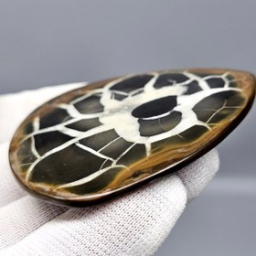 تصویر نگین درشت کلکسیونی سنگ طبیعی سپتارین معدنی کد S3472 