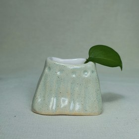 تصویر گلدان مینیاتوری سبز مینیمال 