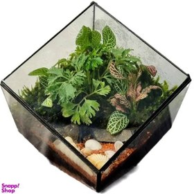 تصویر تراریم مدل کیوب کد 034 